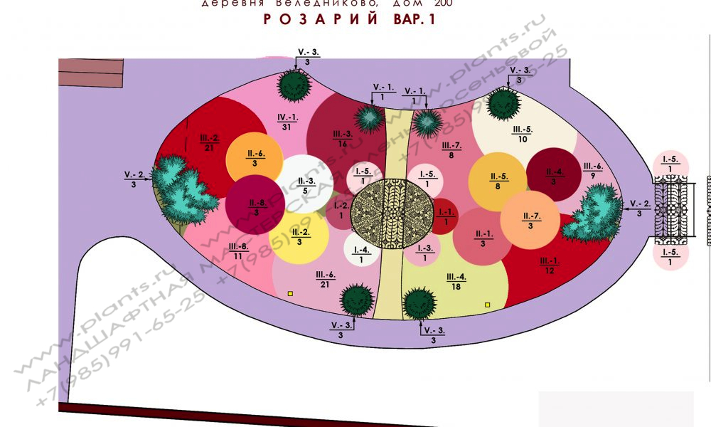 Проект участка - план розария вариант 1